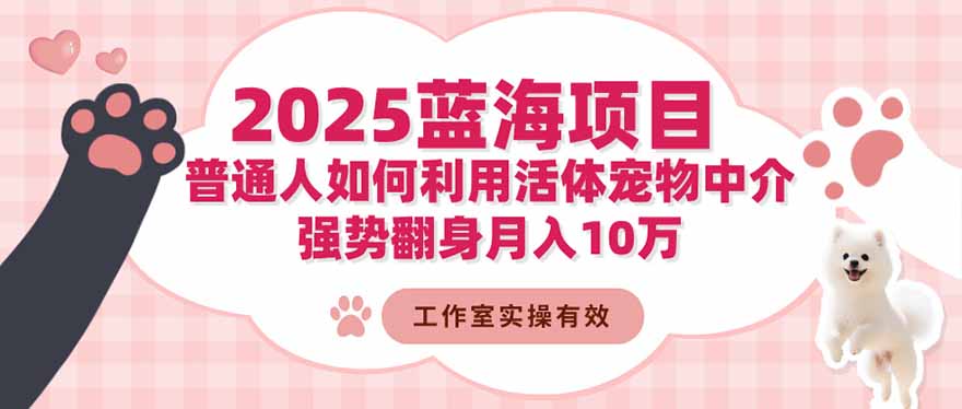 2025蓝海项目：普通人如何利用活体宠物中介，强势翻身月入10万-金小桐轻创业平台