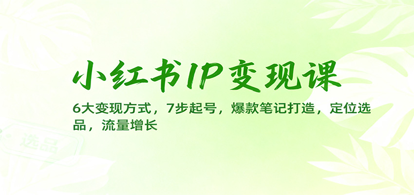 小红书IP变现课：6大变现方式，7步起号，爆款笔记打造，定位选品，流量增长-金小桐轻创业平台